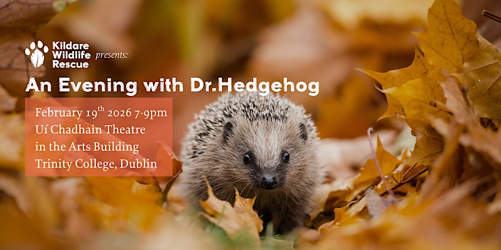 An Evening with Dr. Hedgehog