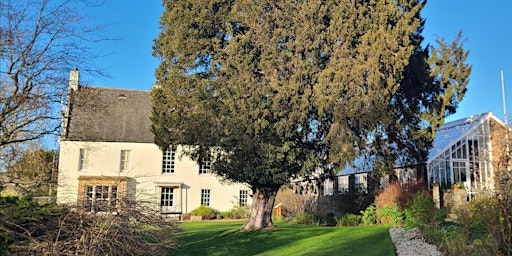 Forest Bathing Walk in Inveresk Gardens