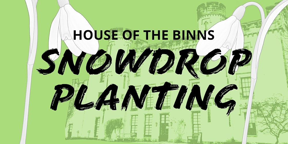 Snowdrop Planting at the House of the Binns