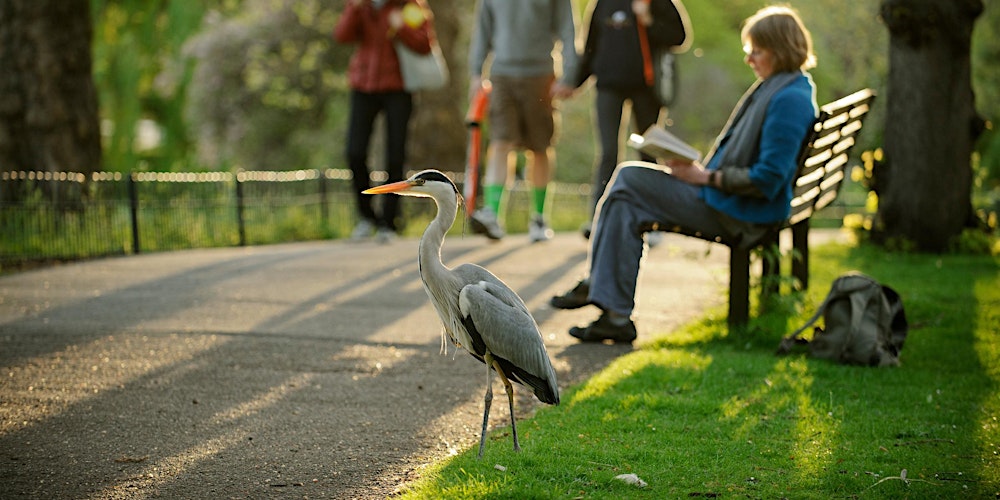 Learning Day: Principles of Rewilding