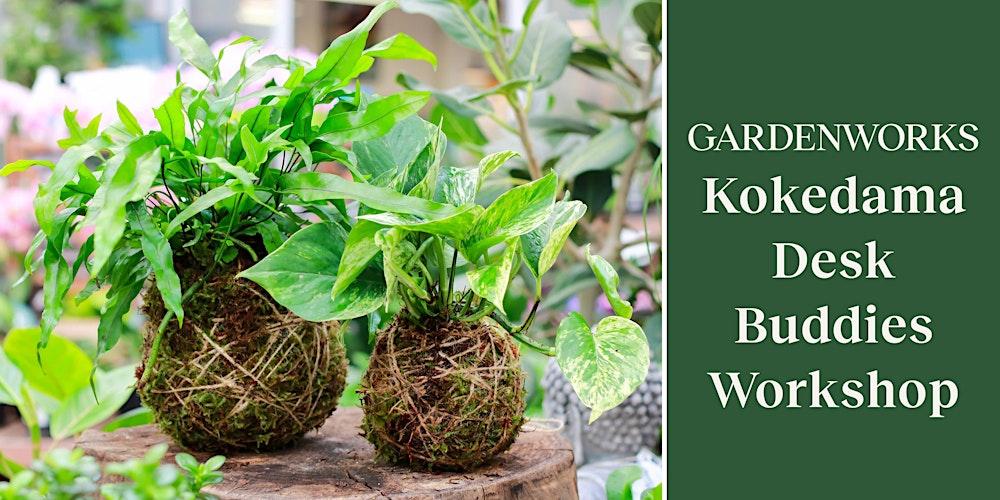 Kokedama Desk Buddies Workshop at GARDENWORKS North Shore