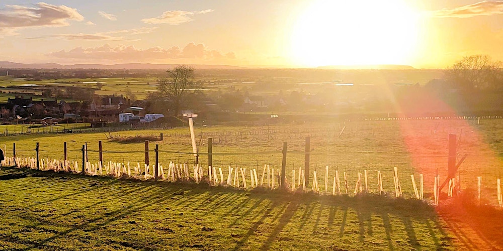 Seasonal Spring Equinox Wellbeing Session