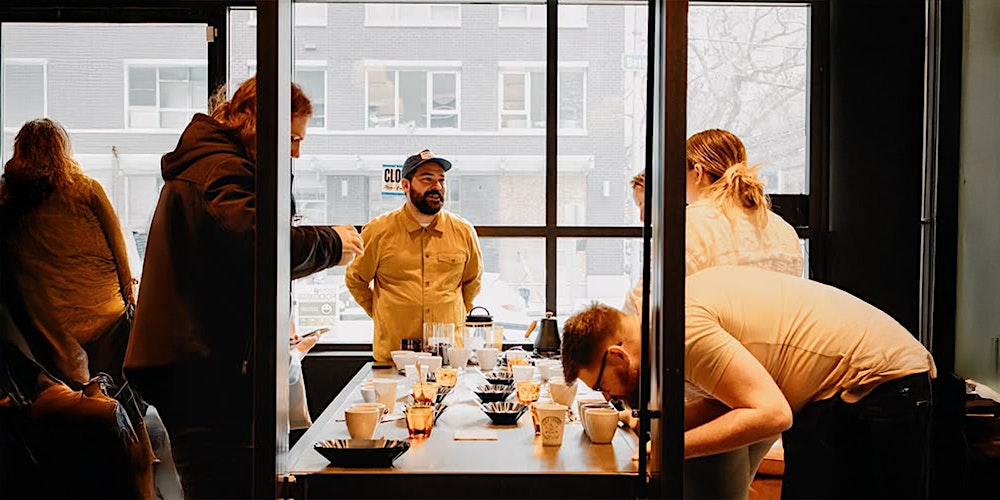 Brewing 101: Ratios, Variables & The Perfect Cup