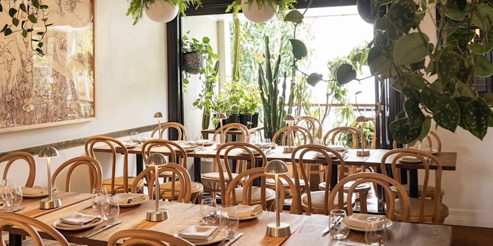 LUX VIP SYD : Fire & Flavour — A Latin Nights Experience