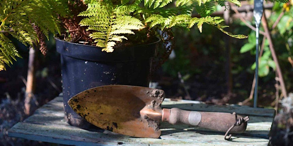 Failsafe Garden Plants