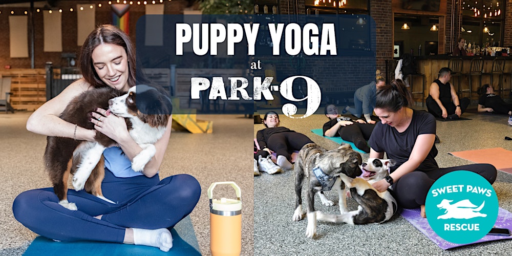 Park-9 Puppy Yoga with Sweet Paws Rescue