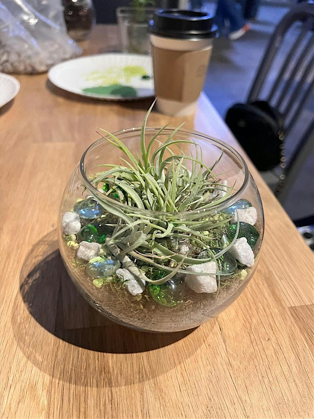 Terrarium building workshop