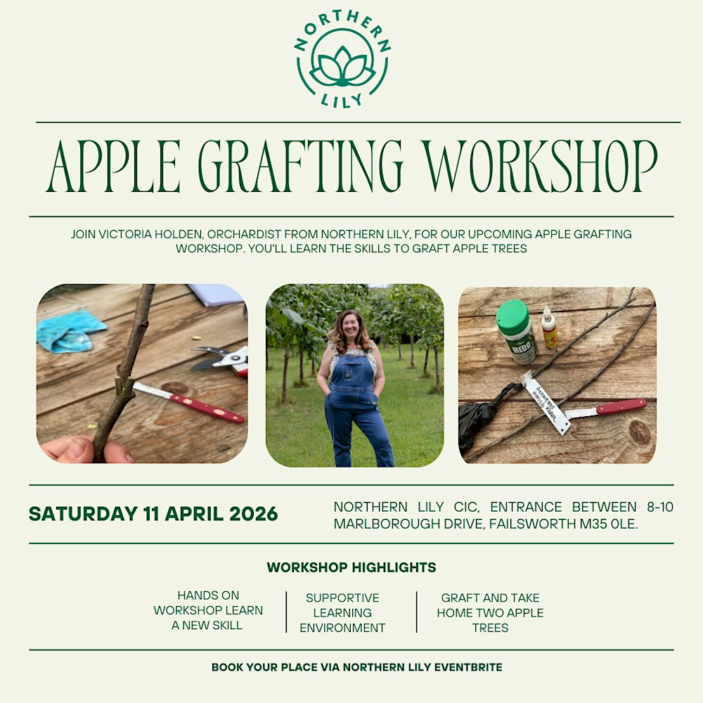 Heritage apple fruit tree grafting workshop