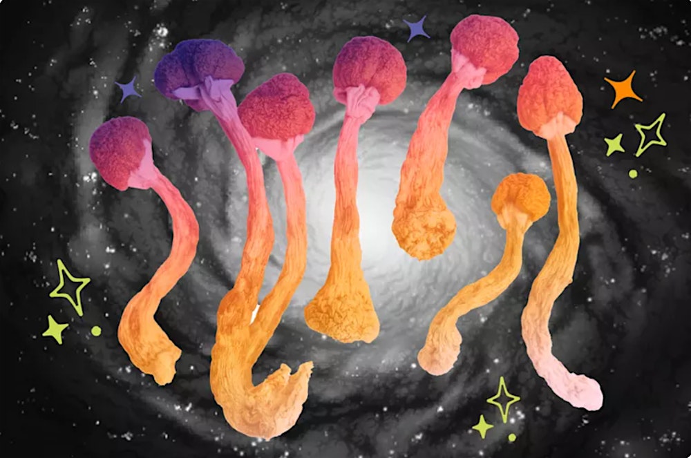 The History of Psilocybin: Humanity’s Oldest Trip
