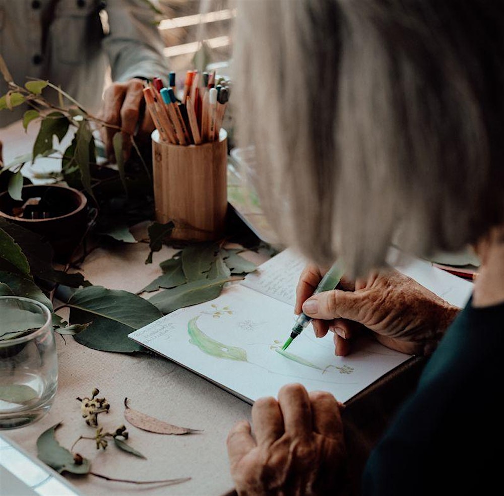 Nature Journaling Native Plants