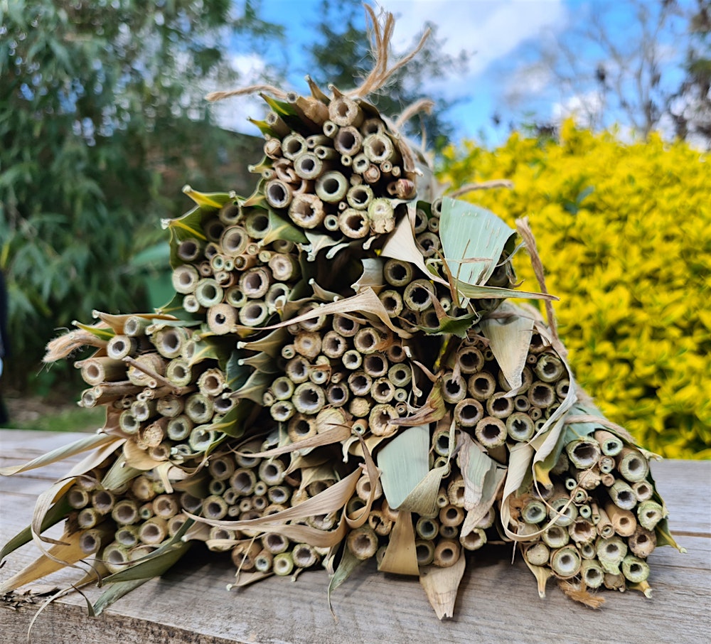 Native Bee Nests & Seed Bombs