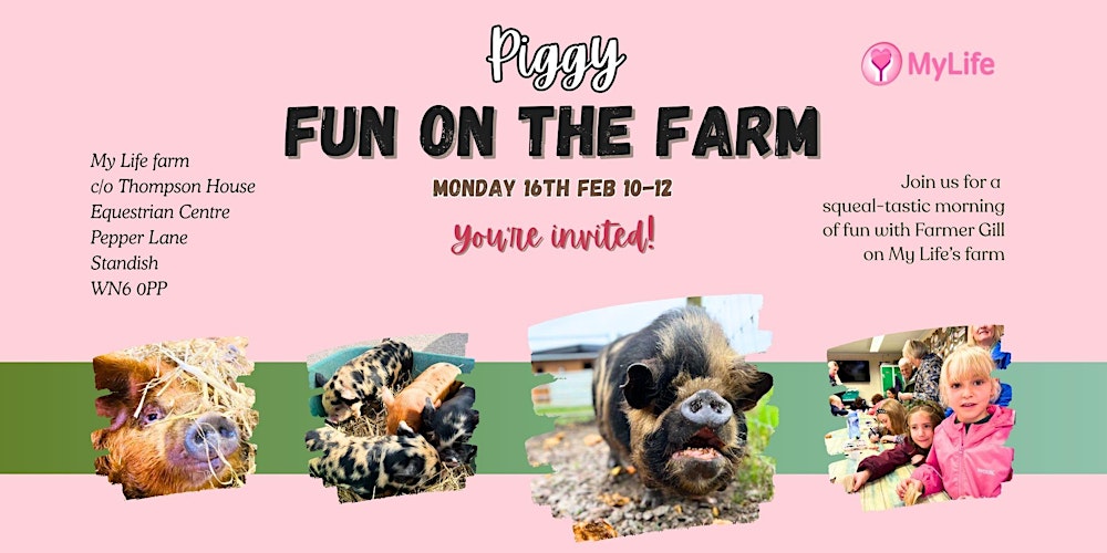Piggy Fun On The Farm