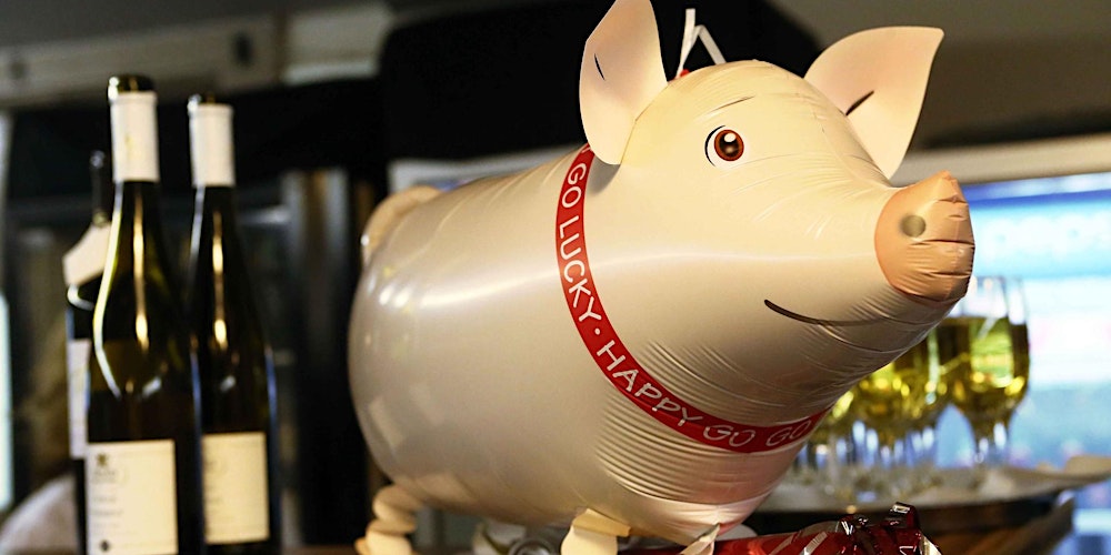 New Year's Eve party on the Danube in Budapest