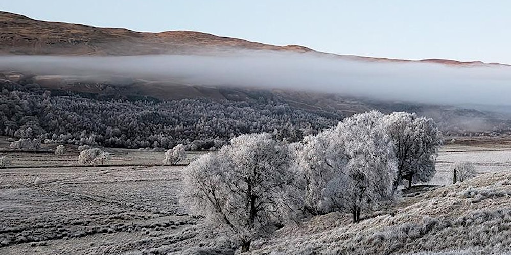 Oldies but Goldies – Scotch 20 bis 30 Jahre alt