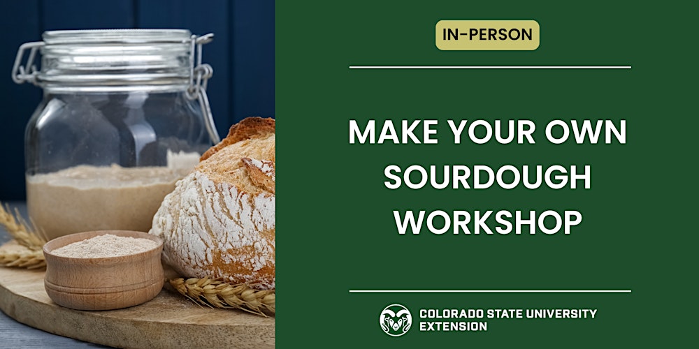 Sourdough Basics: Caring for your starter and making bread