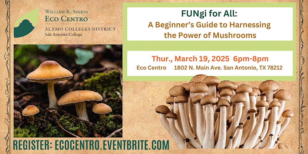 FUNgi for All: A Beginner's Guide to Harnessing the Power of Mushrooms