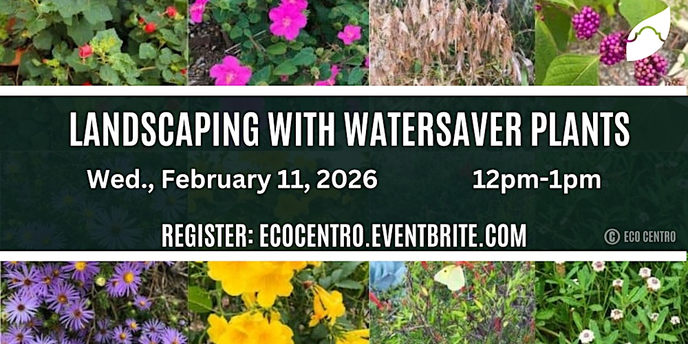 Landscaping with WaterSaver Plants