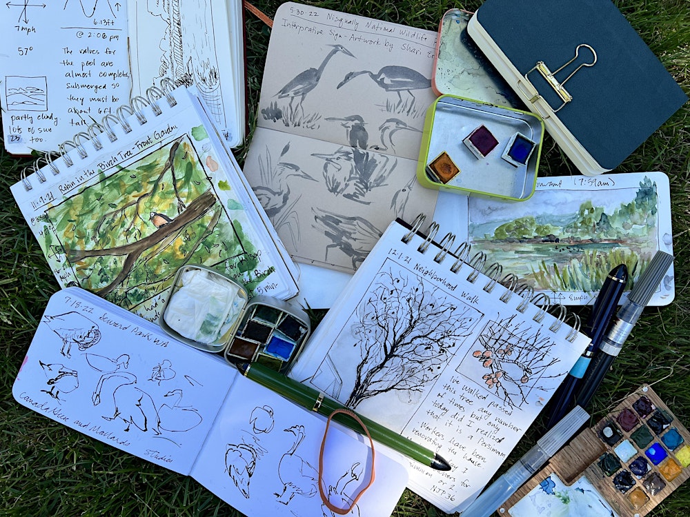 Beginning a Nature Journal