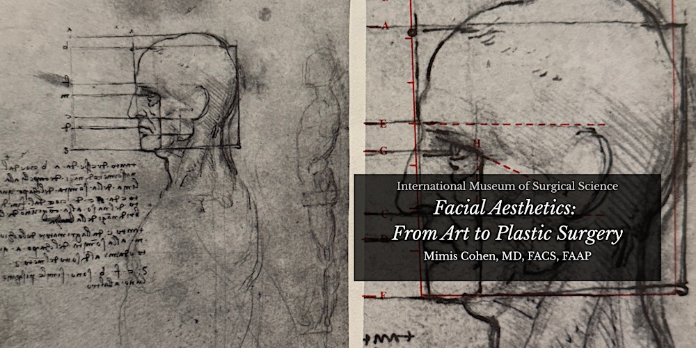 Facial Aesthetics: from Art to Plastic Surgery