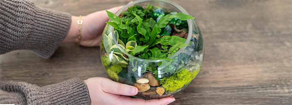 Make-n-Take : Terrariums at Mahoney's Brighton