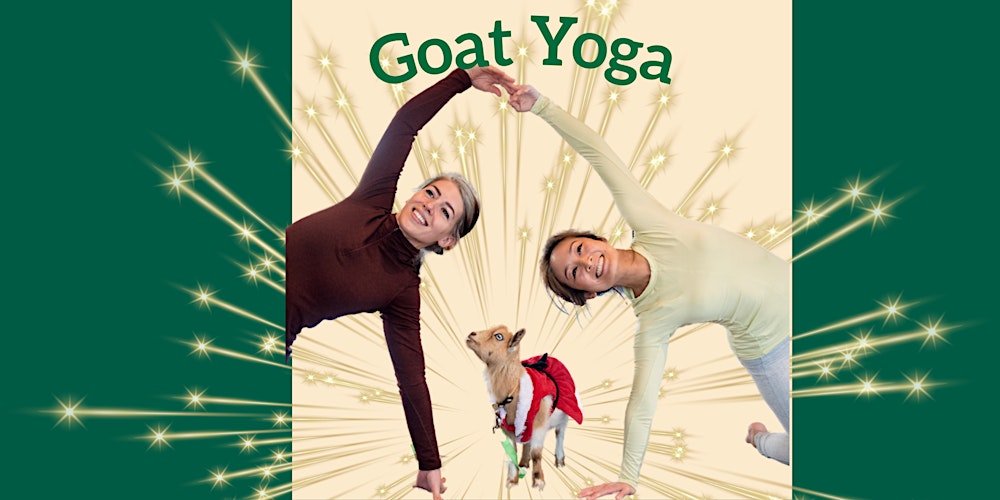 Goat Yoga in Arlington