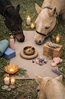 YOGA con caballos - YOGA with horses