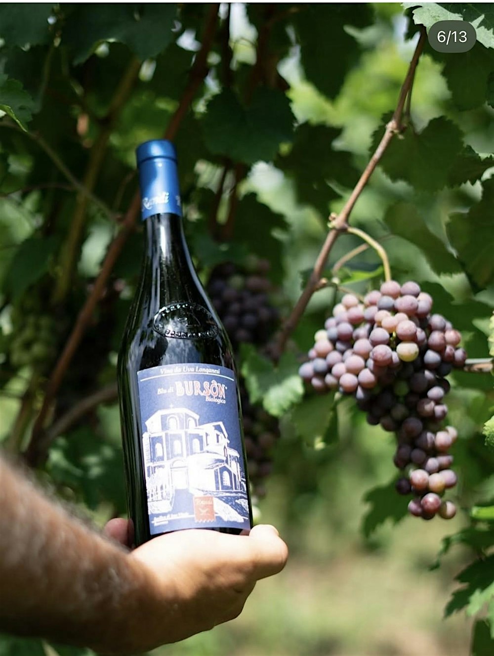 Wine Dinner with the Winemaker: Emilia Romagna with Randi Vini