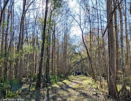 Crosby Sanctuary Outing - Florida Young Birders Club (NE Florida Chapter)