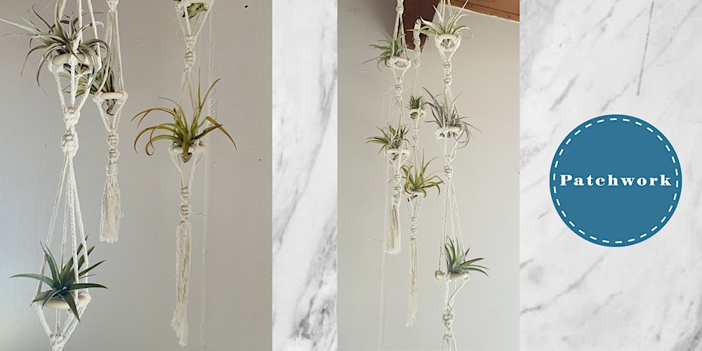 Patchwork Presents Macrame Air Plant  Hanger Craft Workshop