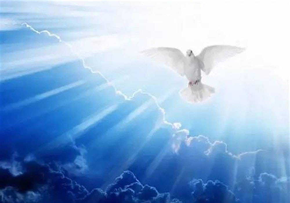 Brian Wills Healing School