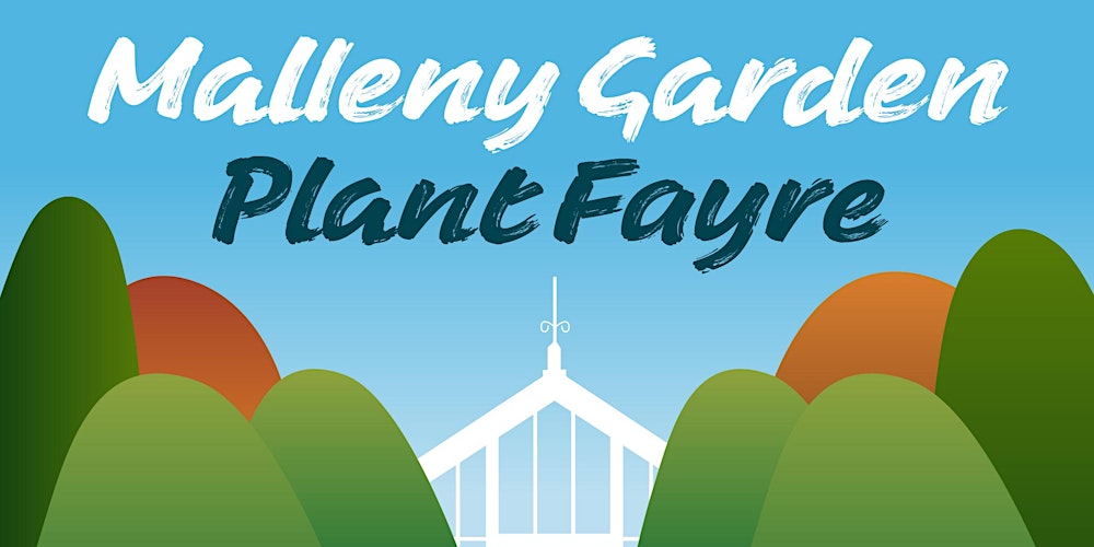 Malleny Garden Plant Fayre