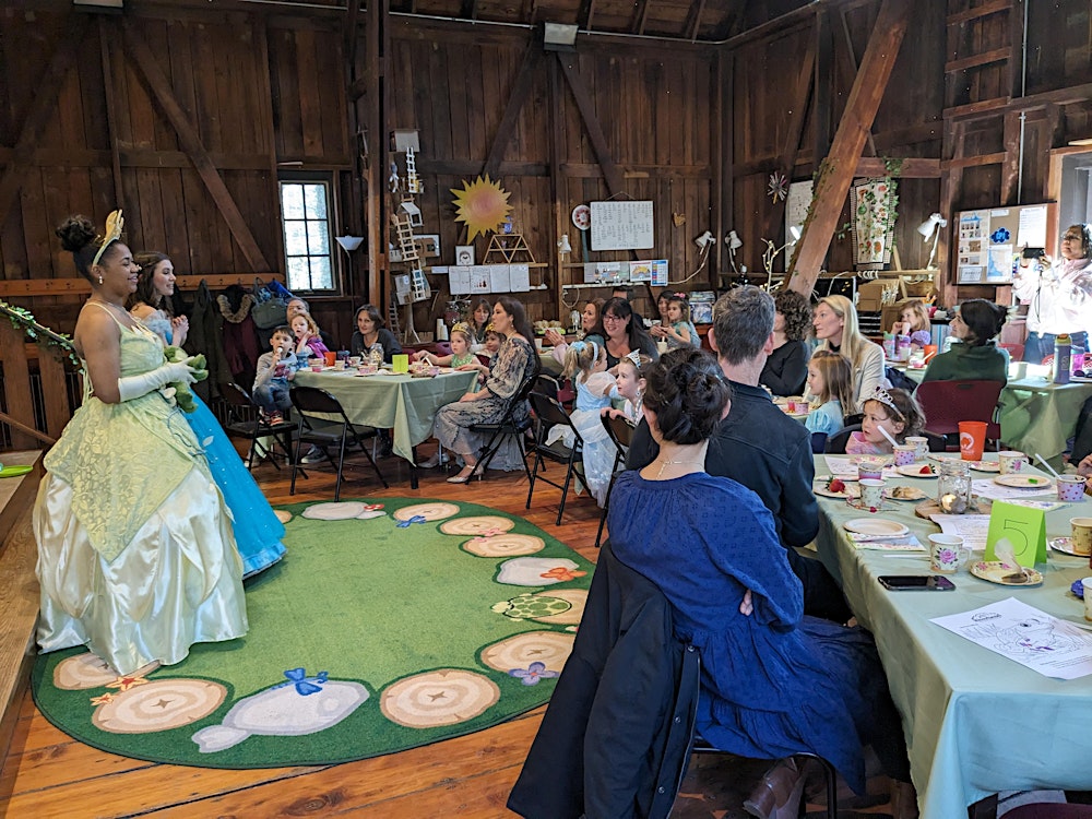 Princess and Frogs Tea Party