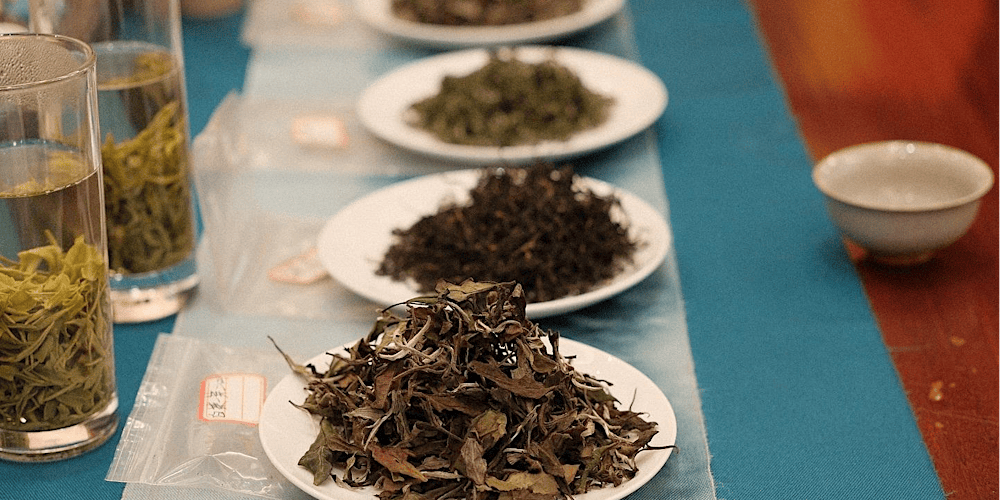 Chinese Tea Tasting: Gong Fu Cha