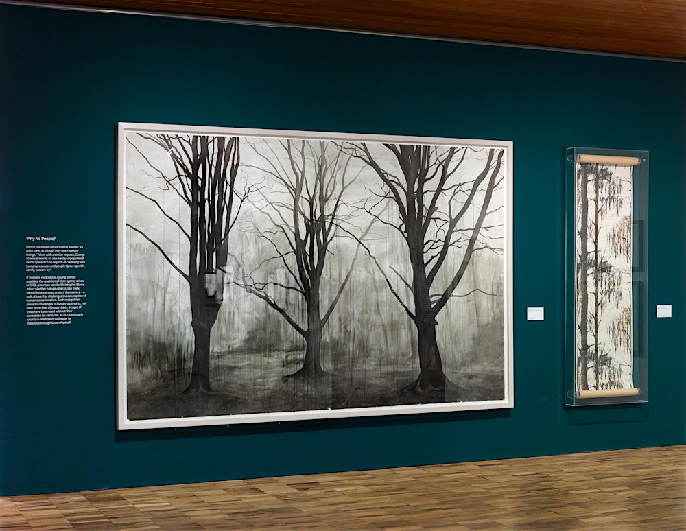 Performing Trees Exhibition: Curator Tour