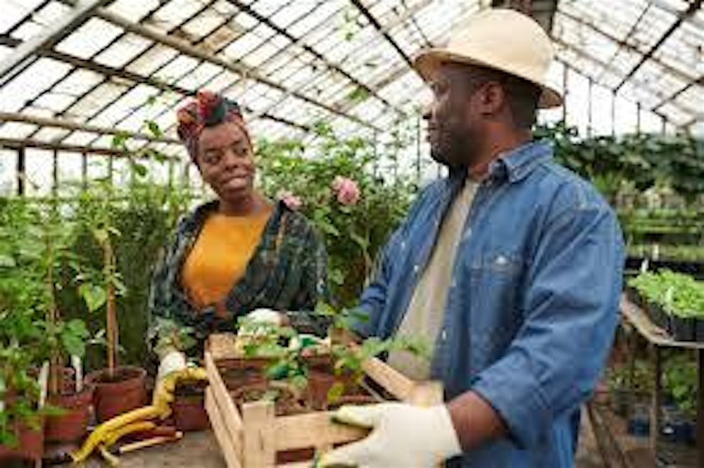 New Earth Conference