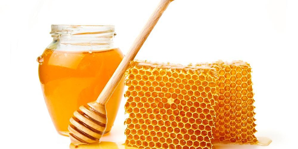 Honey Tasting and Madeline Cakes