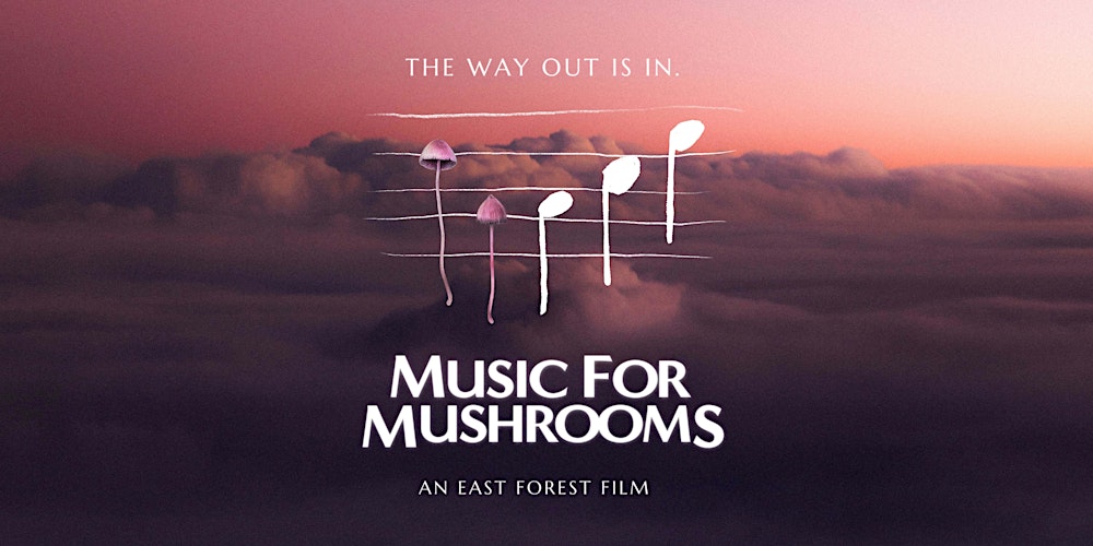 HeartFire Special : Screening Music for Mushrooms Live with East Forest