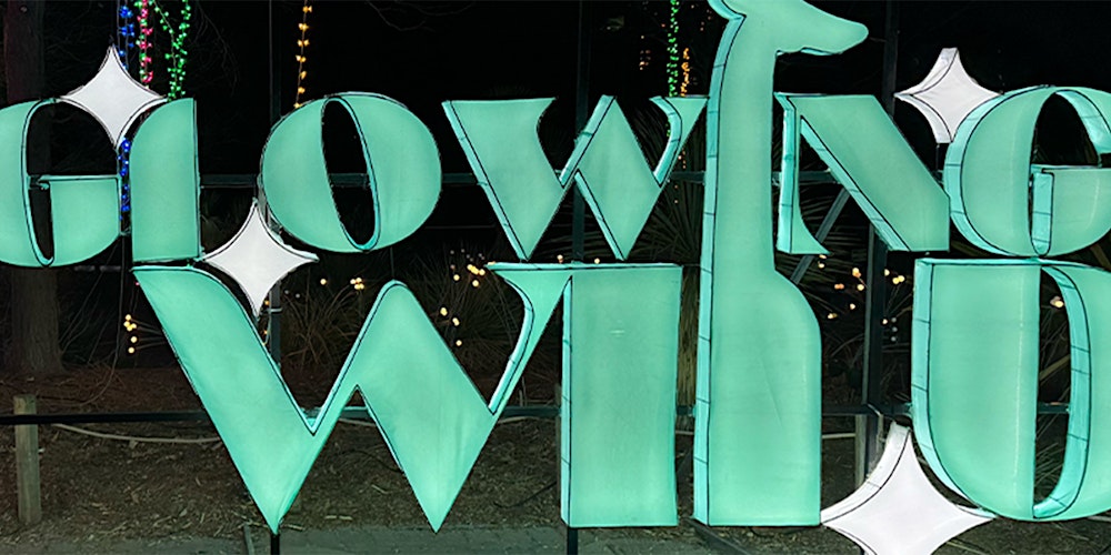 3 Part Glow Lights at the Denver Zoo Workshop