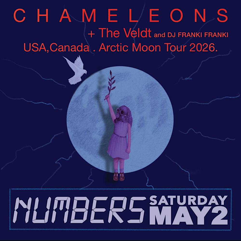 The Chameleons Return to NUMBERS