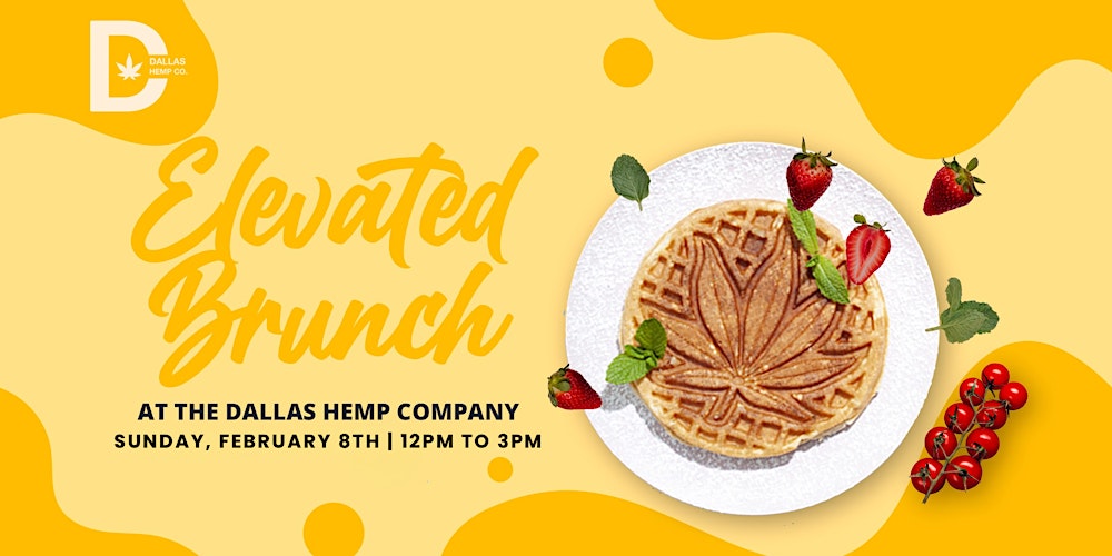 Elevated Brunch | February 8th