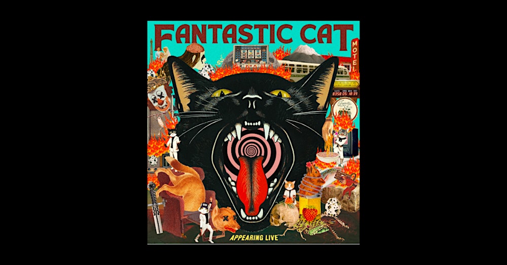 Fantastic Cat