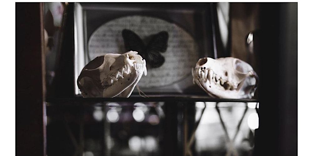 Painting with Skulls & Bones Workshop