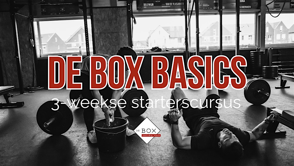 Starterscursus - De Box Basics