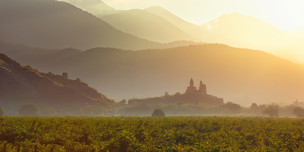 Georgien im Glas – Entdecke die Wiege des Weins!