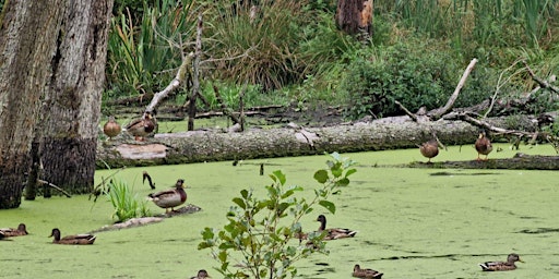 Fairytale Forest: Hike through the mystical landscape of Briesetal