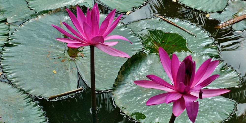 Reiki 2 Workshop with Jaslyn