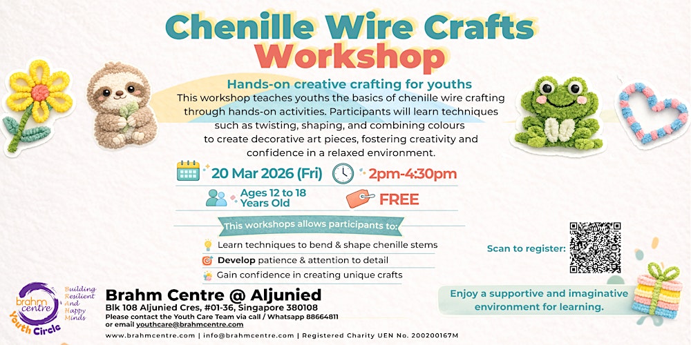 Crafts Workshop: Chenille Wire Crafts (12 to 18 year olds)