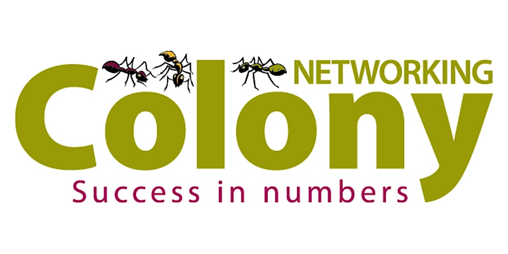 Knutsford Networking With Colony Networking