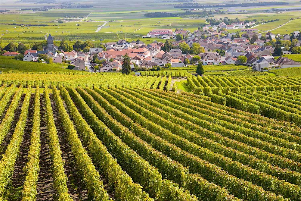Spring in Burgundy Wine Dinner - La Griglia