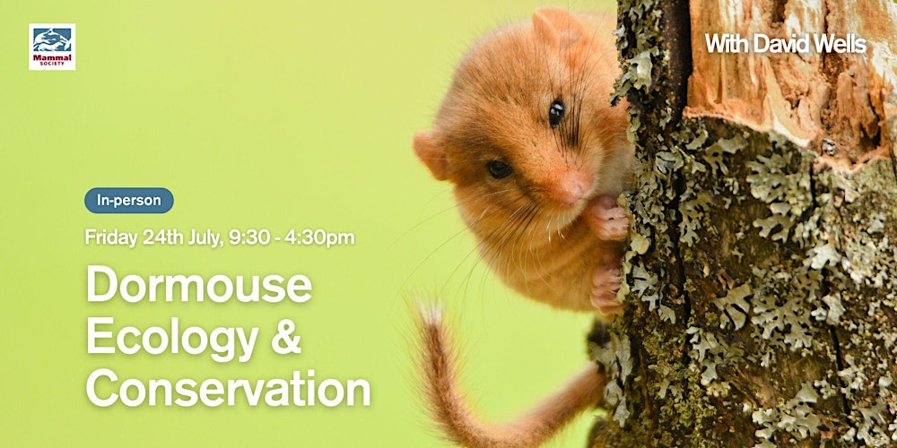 Dormouse Ecology & Conservation - In-person